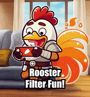 Challenge Filters GIF by Zorooster