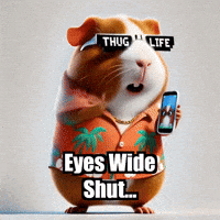 Eyes Wide Shut Selfie GIF by Guinea Gambino