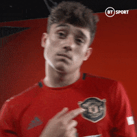 Premier League Football GIF by BT Sport