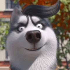 mocoaifay giphyupload animation dog girl GIF