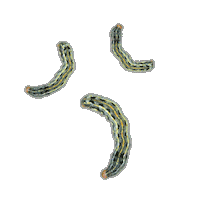 Ts Sticker by Corteva Brasil