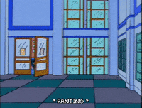 excited season 9 GIF