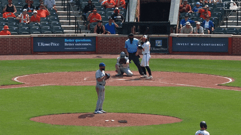 Blue Jays Baseball GIF by Toronto Blue Jays