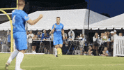 Sport Soccer GIF by Lionsbridge FC
