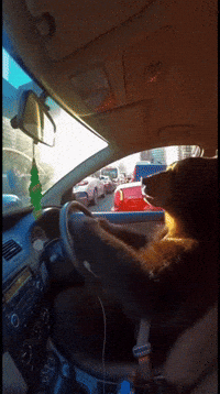 Rock On Dance GIF
