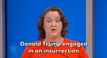 Democratic Primary Trump GIF