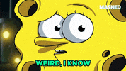 This Is Weird Spongebob Squarepants GIF by Mashed