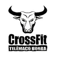 cftb crossfittb Sticker by CrossFit Telêmaco Borba