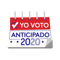 Votaconmigo GIF by Univision Noticias