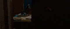jenna ushkowitz GIF by The Orchard Films