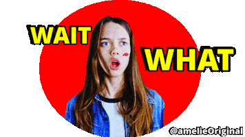 Wait What Omg Sticker by amelie