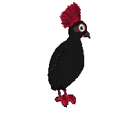 Quail Sticker