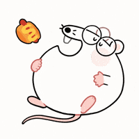 DoctorCorio cute eat mouse rat GIF