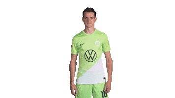 Football Love Sticker by VfL Wolfsburg