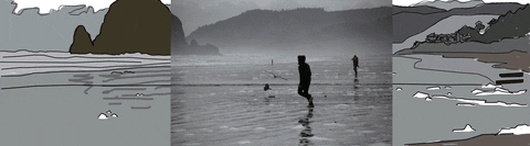 chasing cannon beach GIF by hateplow