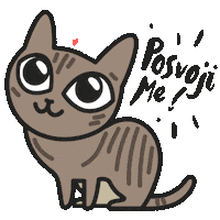leavuc cat kitten adopt adoption Sticker