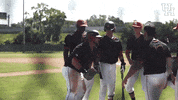 university of houston homer GIF by Coogfans