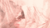 dimmak ghosted yumi dim mak GIF