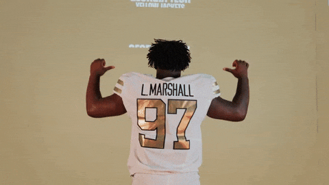 Georgia Tech Football Sport GIF by Georgia Tech Yellow Jackets