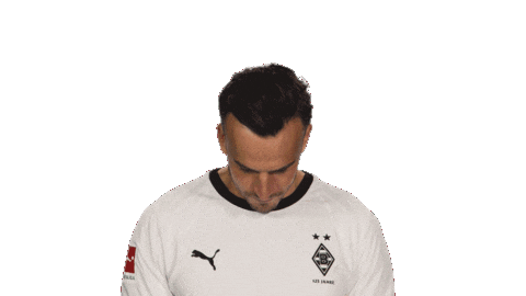 Look Up Borussia Moenchengladbach Sticker by Bundesliga