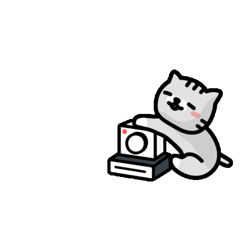 Kitty Camera Sticker by aifianfriends