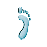 Pharmfoot Sticker by Victoria Vynn
