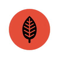 ice cream penguin Sticker by Four Winters