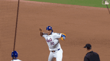 Polar Bear Celebration GIF by New York Mets