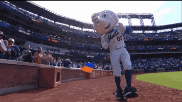 Baseball Mlb GIF by New York Mets