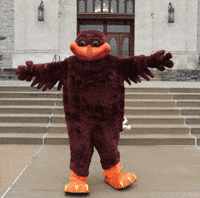 Vt Hokies GIF by Virginia Tech
