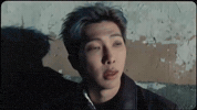 Rm Arirang GIF