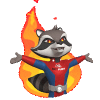 Happy Raccoon Sticker by BetFury