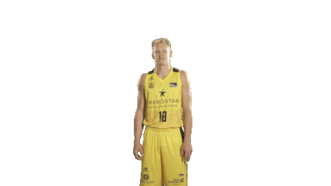 Liga Endesa Basketball Sticker by ACB