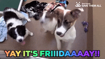 Yay It's Friday!