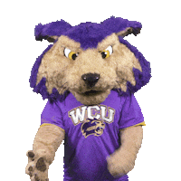 Paws Wcu Sticker by Western Carolina University