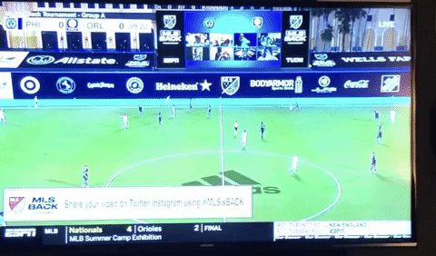 gibbonscm giphygifmaker GIF