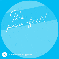 Happy Animation GIF by Summit Marketing