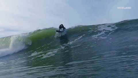 viceland GIF by BEERLAND