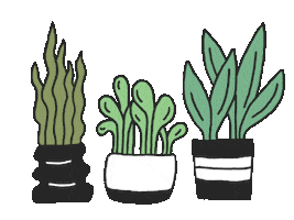 Plant Grow Sticker by Stuff