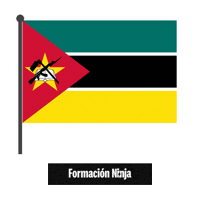 Flag Bandera Sticker by Formación Ninja