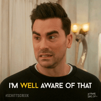 Pop Tv Davidrose GIF by Schitt's Creek