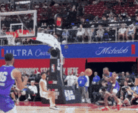Charlotte Hornets No GIF by NBA