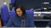 Parliament I Dont Know GIF by Social Media Redaktion Bundestag