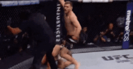 ufc 211 GIF
