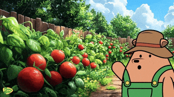 Gardening: The Benefits of Gardening | Hobby
