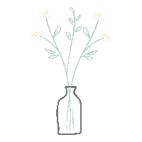 Flowers Daisy Sticker