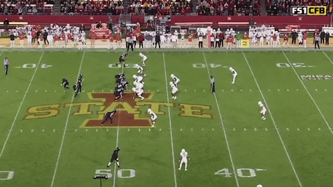 DBSports giphygifmaker GIF