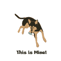 Arriving Coming Soon Sticker by Shopthepaw