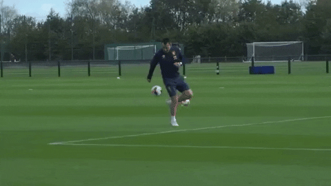 Skills Terry GIF by Aston Villa FC