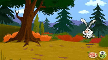 happy nature cat GIF by PBS KIDS